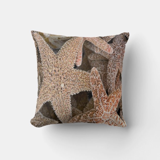 Coussin Starfish partout (Recto)
