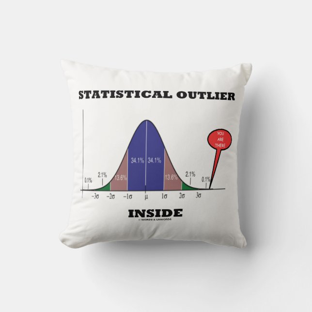 Coussin Statistiques En Dehors De Vous Il Y A Un Humour (Recto)