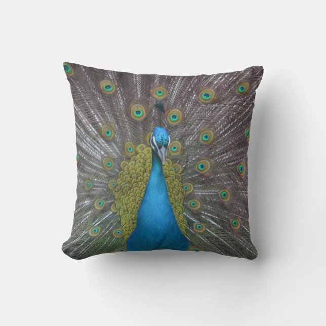 Coussin Stunning (Recto)