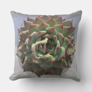Coussin Succulent