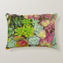 Coussin succulent 12" d'accent de texture de
