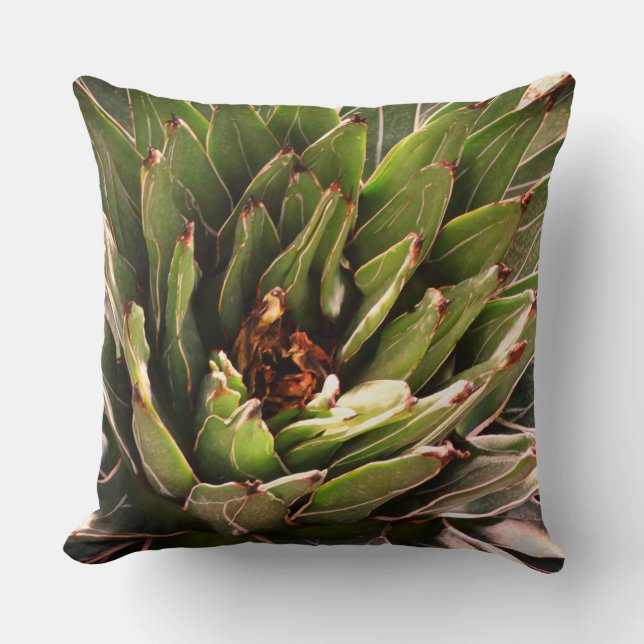 Coussin Succulent Plante vert Aloe Photographie botanique (Recto)