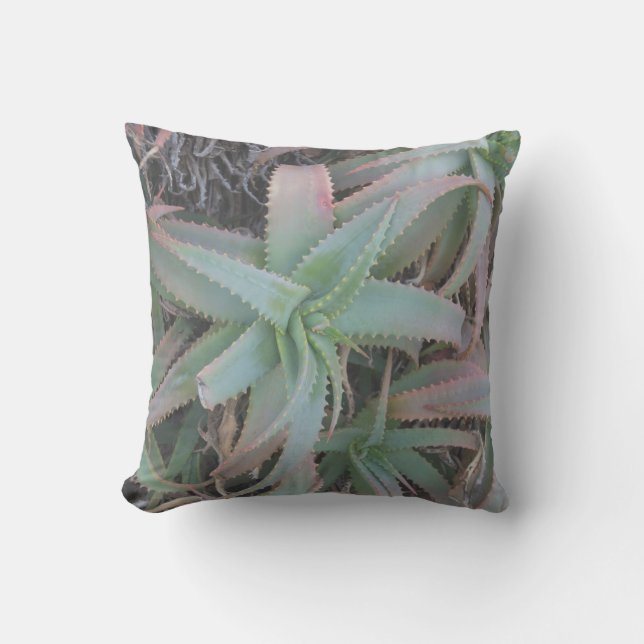Coussin Succulentes du Nevada (Recto)