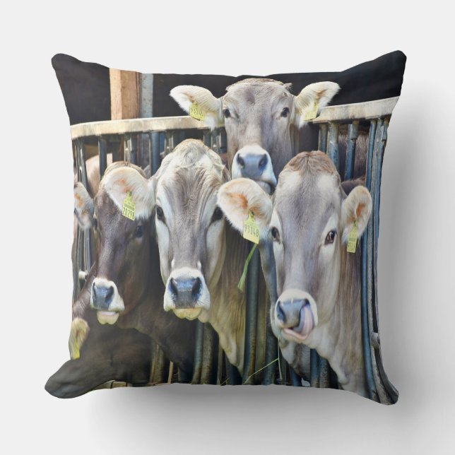Coussin Sur Les Vaches De Ferme (Recto)