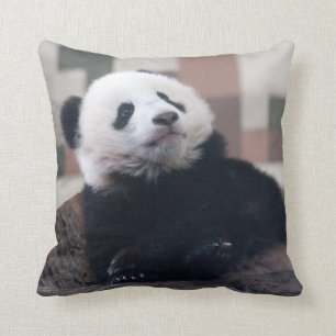 Coussin Sweet Giant Panda Baby
