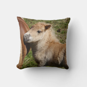 Coussin Sweet Haflinger Foal