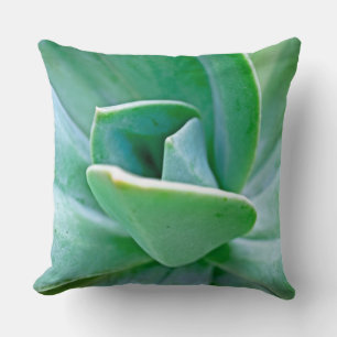 Coussin Swirl Succulent