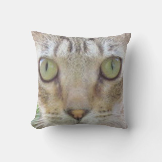 Coussin - Tabby Cat Face (Recto)