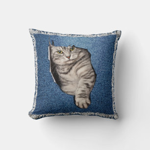 Coussin Tabby domestique - chaton