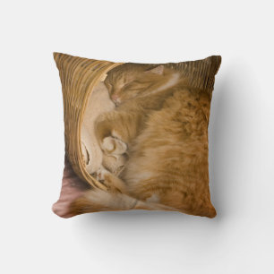 Coussin Table orange dormant dans le hamper