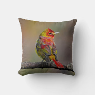 Coussin Tangara écarlate en mue - Photographie originale