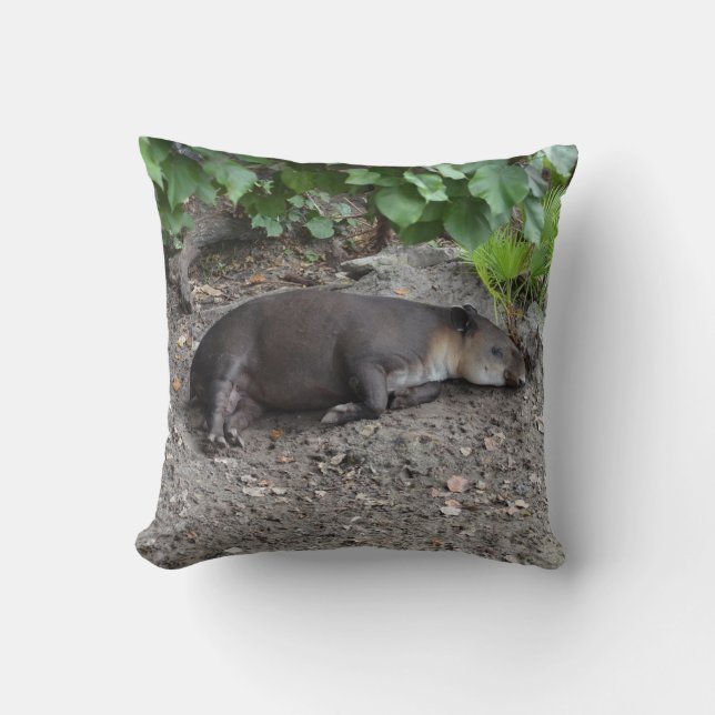 Coussin tapir dormant sur le sable (Recto)
