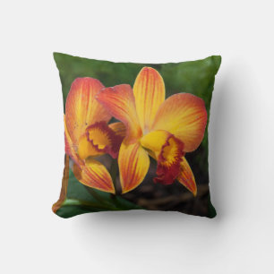 Coussin Tapisserie d'amour de Rhyncattleanthe