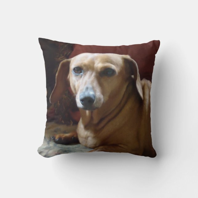 Coussin Teckel (Recto)