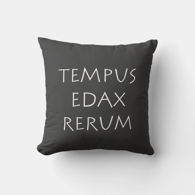 Coussin Tempus edax rerum (Recto)