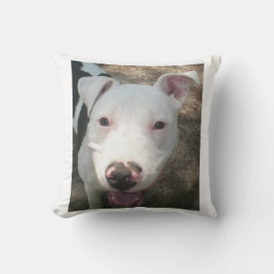 Coussin terrier pit bull américain
