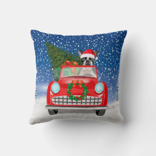 Coussin Tervueren de Boston Conduisant une Voiture dans la
