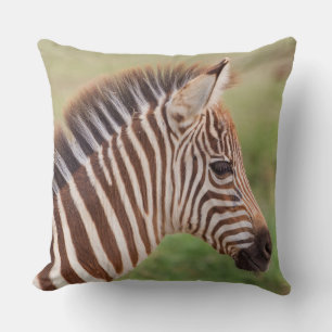 Coussin Tête de bébé zèbre, Tanzanie