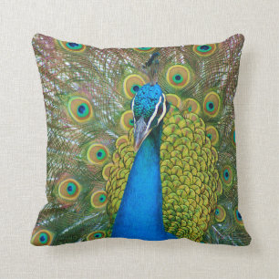 Coussin Tête de bleu de paon avec et plumes de queue