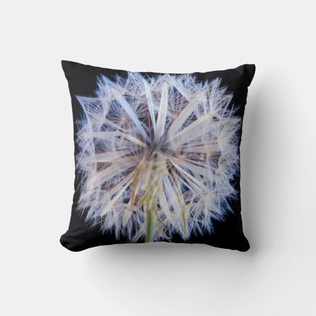 Coussin Tête de semence Dandelion (Taraxacum Officinale) (Recto)