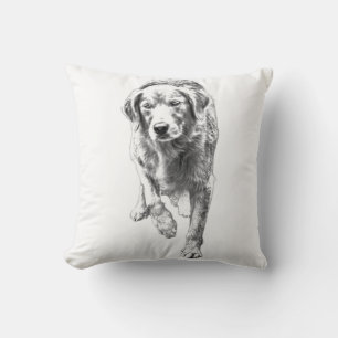 Coussin Texture du récupérateur dans la lumière d'automne
