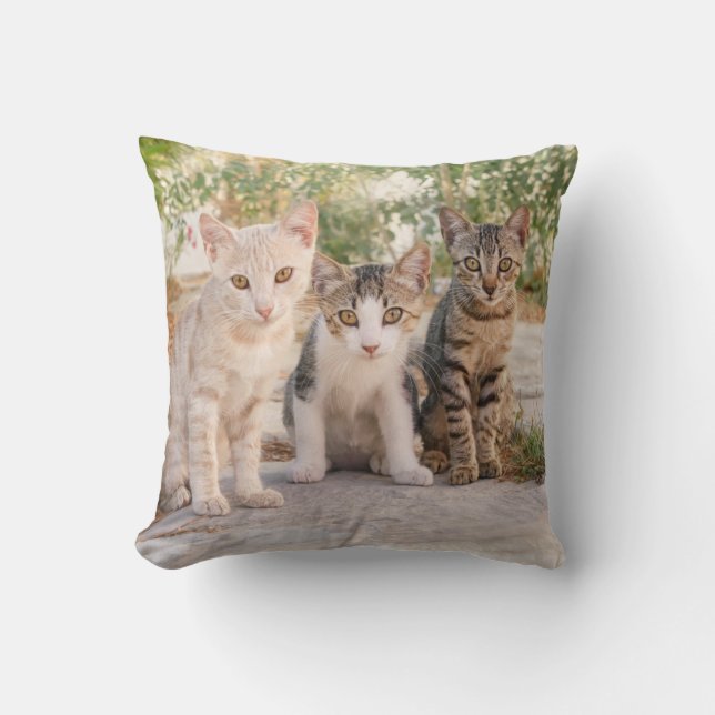 Coussin Three young cute cat kittens sit friendly together (Recto)