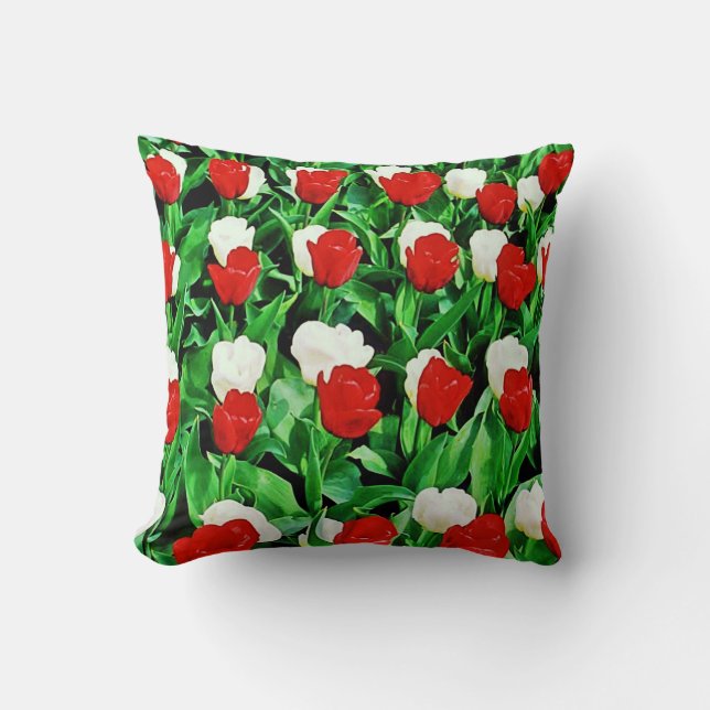 Coussin Throw Pillow (Recto)