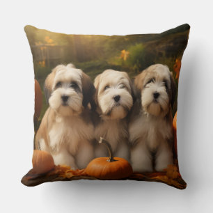 Coussin Tibétain Terrier Chiot Automne Citrouille délice