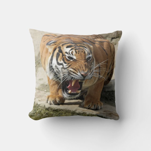 Coussin Tiger_2015_0156 (Recto)
