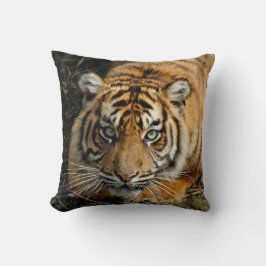 Coussin Tigre 037