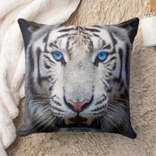 Coussin Tigre blanc aux yeux bleus