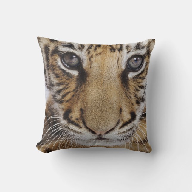 Coussin Tigre CUB (Recto)