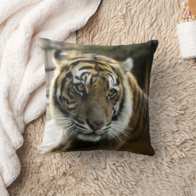 Coussin Tigre du Bengale (Couverture)