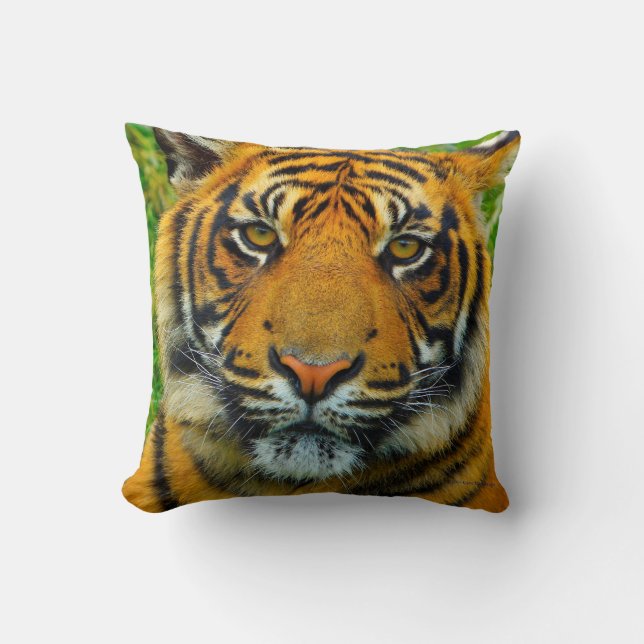 Coussin Tigre - L'Dernier tigre ? (Recto)