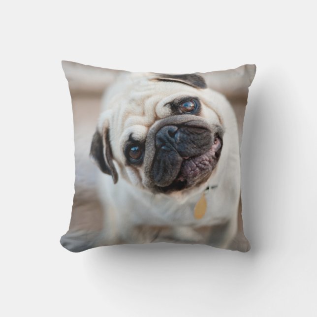 Coussin Tillette Carlin (Recto)