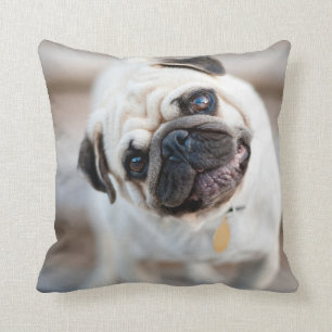Coussin Tillette Carlin