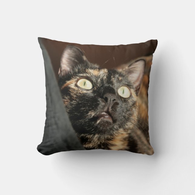 Coussin torti (Recto)