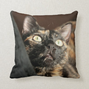 Coussin torti