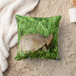 Coussin Tortue