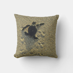 Coussin Tortue verte, (Chelonia mydas), nouveau-né