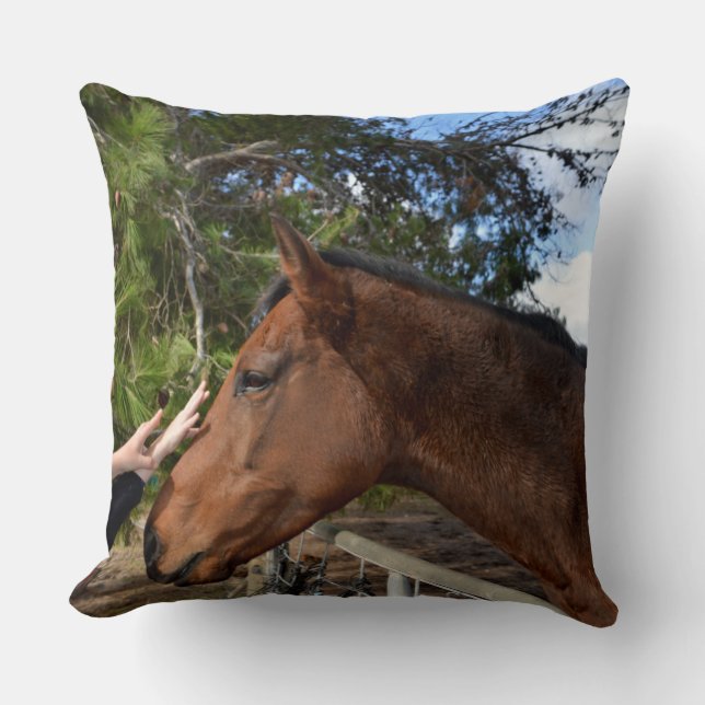 Coussin "Touche du genre : se lier avec un Cheval Brown do (Recto)
