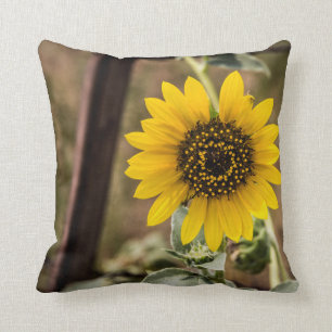 Coussin Tournesol