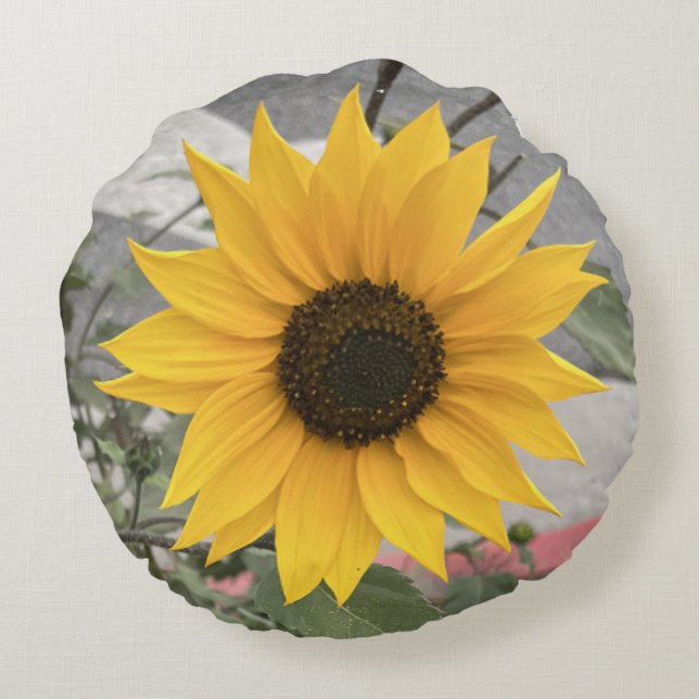 Coussin Tournesol (Dos)