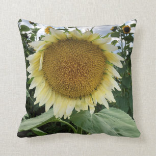Coussin Tournesol blanc