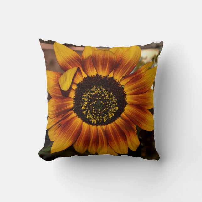Coussin Tournesol brillant (Recto)