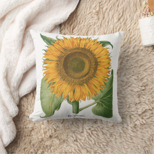 Coussin Tournesol vintage par Basilius Besler