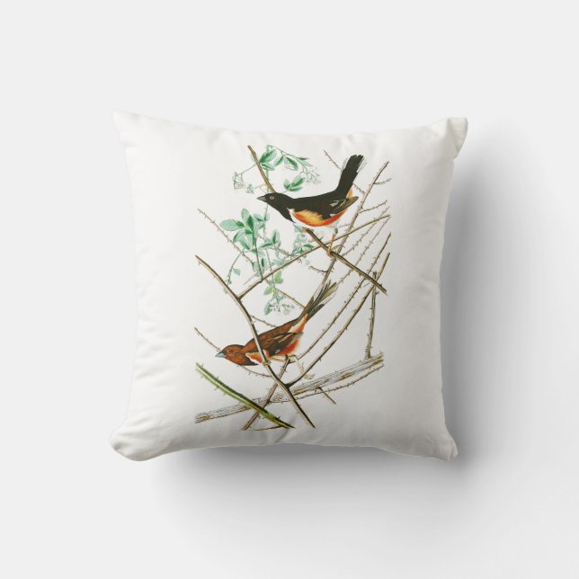 Coussin Towhe donnant un petit coup des oiseaux de John (Recto)