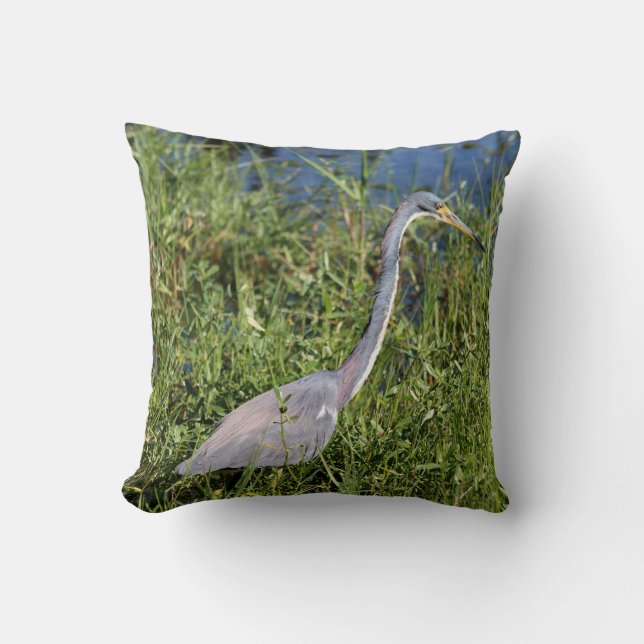 Coussin Tr-Colored Heron (Recto)