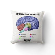 Transfert d'informations à l'intérieur de l'Humour