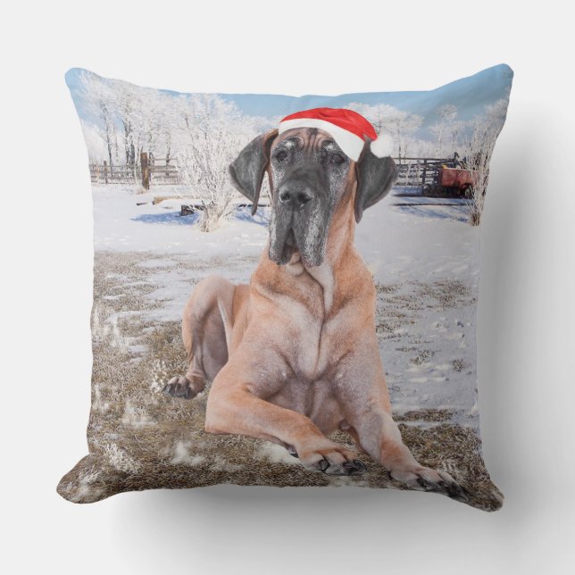 Coussin Très Beau Chien Danse Assis Dans Le Casquette De N (Recto)